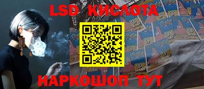 прущие грибы Ирбит