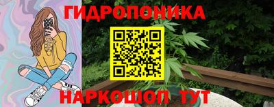 прущие грибы Ирбит