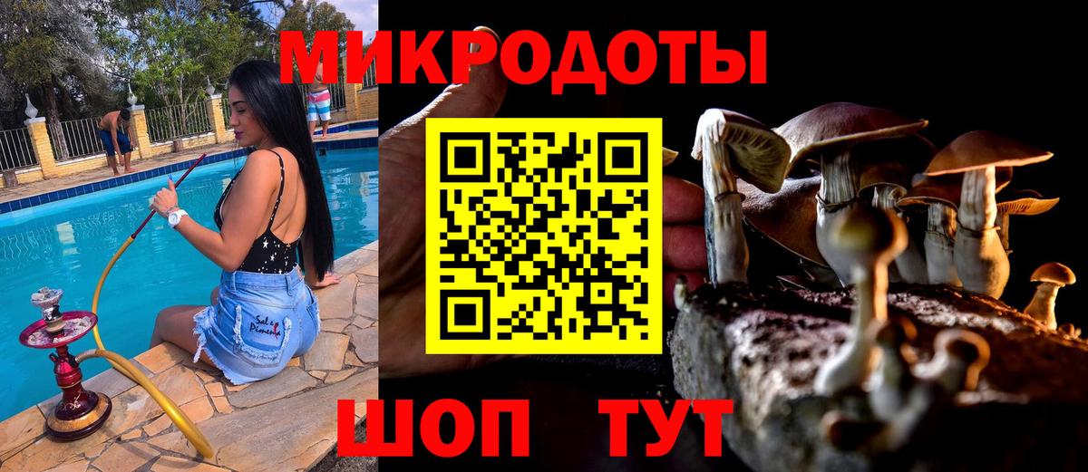 Галлюциногенные грибы ЛСД Лабытнанги