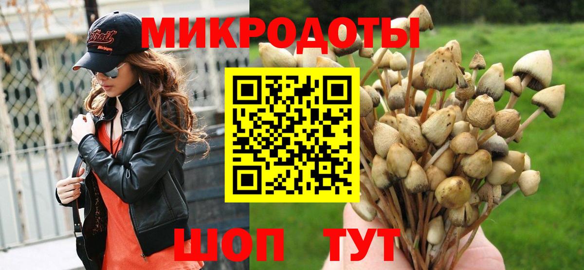 Лабытнанги  купить  сайты  Вход с VPN  Псилоцибиновые грибы мицелий  Галлюциногенные грибы Psilocybine cubensis 